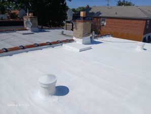 Flat Roof in Harlem, NY (3)