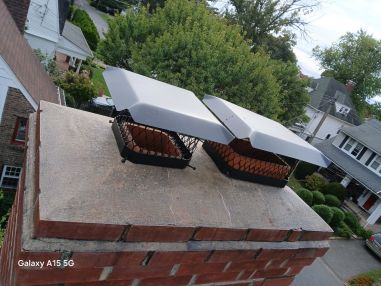 Chimney Services in Flushing, Queens, NY (6)