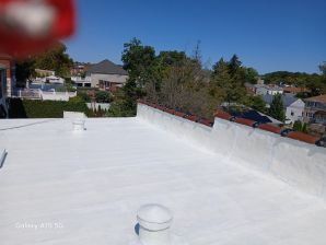 Flat Roof in Harlem, NY (4)